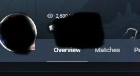 Customer review image